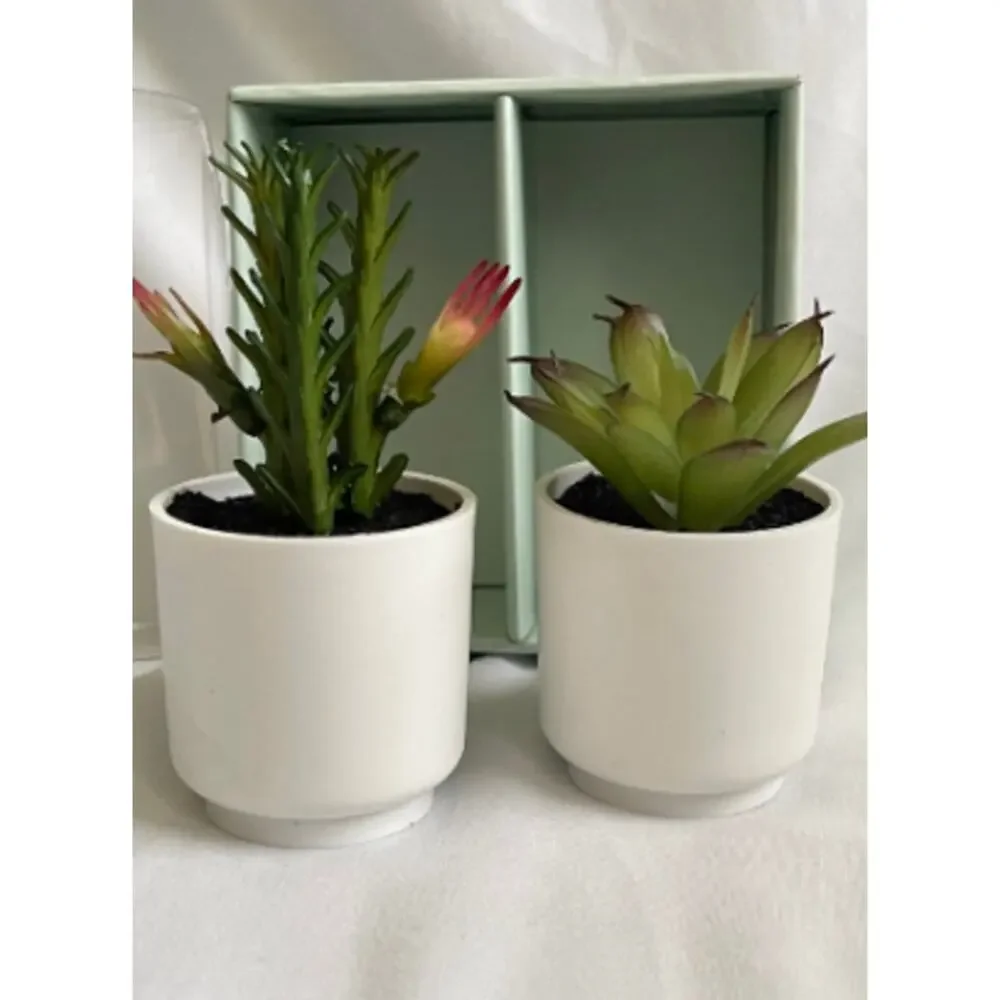 4 Piece Faux Mini Decorative Succulents in Pots 4